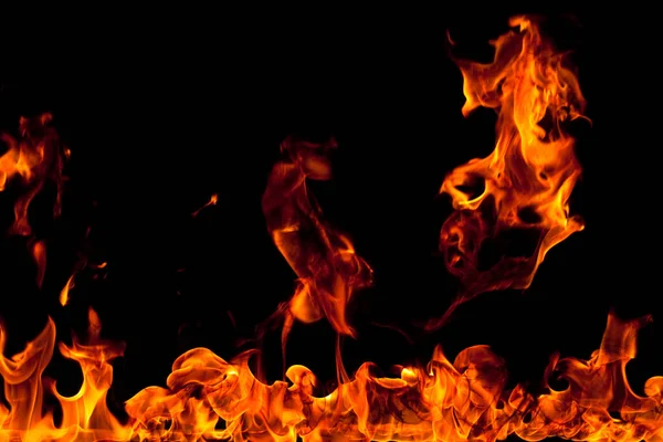 Köye yakın ağaçlık alanda çiçekler açıyor. Çiçeklere yakın çekim.