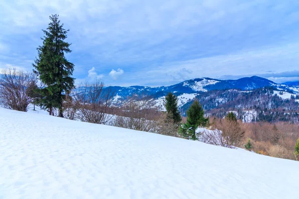 Karla kaplı ağaçlarla kaplı güzel bir kış manzarası. Kış dağları.