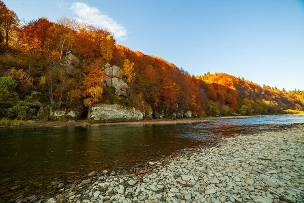 Sonbaharda şelalenin manzarası. Sonbahar renklerinde şelale. Sonbahar manzarasında dağ nehri. Ukrayna, Stryj Nehri.