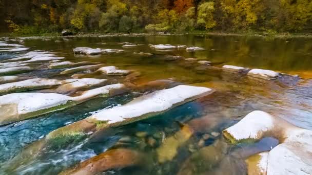 Mountain river rapids running water. Autumn mountain stream. natural stream. Tourism and travel on the mountain river Stry, Ukraine. Wonderful natural spectacle of autumn. Rapids of alpine rivers. — 비디오