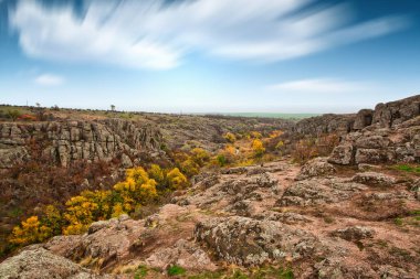Resimli Ukrayna 'daki küçük bir nehrin üzerinde yeşil bitki örtüsüyle kaplı çok sayıda taş minerali ve onun güzel doğası.