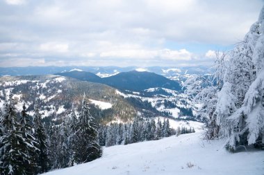 Dağın tepesinden, ormandaki donma ve alçak bulut manzarası.