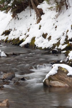 Küçük, aktif bir şelale. Temiz dağ deresi, karlı kış manzarası, vahşi yaşam geçmişi