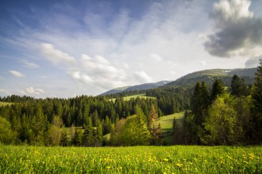 Karpat Dağları, Ukrayna. Gün batımında dağlar. Yaz mevsiminde güzel doğal manzara