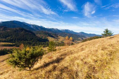 Dağlarla, ormanlarla ve Ukrayna 'daki Karpat Dağları' ndaki ağaçlarla harika bir manzara..