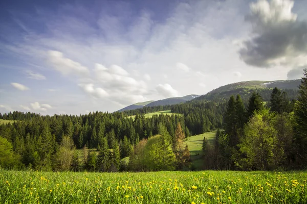 Karpaterna, Ukraina. Berg vid solnedgången. Vackert naturlandskap på sommaren — Stockfoto