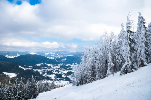 View from the top of mountain on forest in frost and low cloud. — Stockfoto