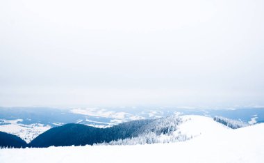 Karpat Dağları, Ukrayna. Güzel kış manzarası. Orman işçisi karla kaplı..
