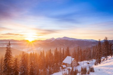 Sabahları güneş ışığıyla parlayan görkemli kış manzarası. Dramatik kış sahnesi. Carpathian, Ukrayna, Avrupa. Güzellik dünyası. Mutlu yıllar.