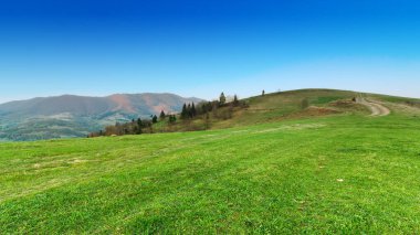 Karpat Dağları, Ukrayna. Gün batımında dağlar. Yaz mevsiminde güzel doğal manzara