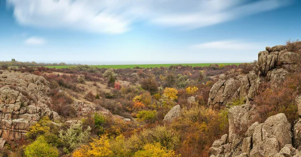 Resimli Ukrayna 'daki küçük bir nehrin üzerinde yeşil bitki örtüsüyle kaplı çok sayıda taş minerali ve onun güzel doğası.