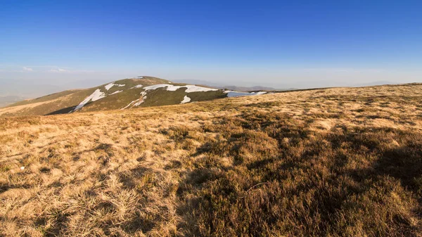 Karpat Dağları, Ukrayna. Gün batımında dağlar. Yaz mevsiminde güzel doğal manzara