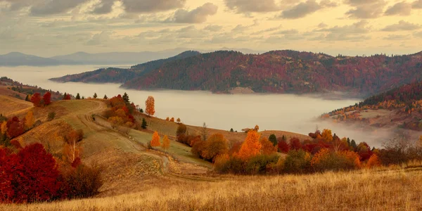 Ukraina. Magiczny jesienny wschód słońca, z mgłą pełzającą nad dolinami, nad formacjami górskimi z dala od cywilizacji. Przełęcz Synevyr położona w Karpatach. — Zdjęcie stockowe