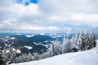 Dağın tepesinden, ormandaki donma ve alçak bulut manzarası.