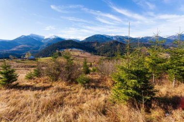 Dağlarla, ormanlarla ve Ukrayna 'daki Karpat Dağları' ndaki ağaçlarla harika bir manzara..