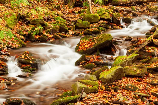 Ukpaine. Cascada entre las rocas musgosas. Hermosos rápidos de paisaje en un río de montañas en el bosque de otoño en las montañas de los Cárpatos al atardecer. Arroyo de plata en el parque nacional Shypit Carpat. Pilipets. —  Fotos de Stock