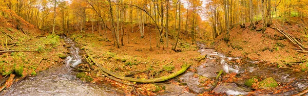 Ukraine. Ein sanfter Bach plätschert um moosbewachsene Felsen, umgeben von Bäumen, die in den Karpaten mit Herbstlaub geschmückt sind. Shypit-Karpaten im Nationalpark. — Stockfoto