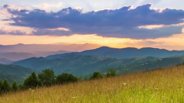 Le soleil au-dessus du col du Synevir des Carpates. De l'herbe sur la colline. Paysage rural merveilleux dans les montagnes carpates. Repos dans le col de Synevyr, montagnes des Carpates, Ukraine. — Video