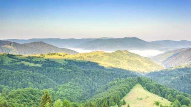 Magnifique forêt d'été à la chaîne de montagnes du soleil. Personne paysage naturel à la saison d'automne. Rayons du soleil à travers le brouillard et les nuages. Repos sur le col de Synevyr, Carpates, Ukraine. — Video