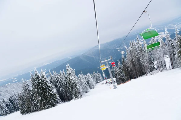 Karpat Dağları, Ukrayna. Güzel kış manzarası. Orman işçisi karla kaplı..