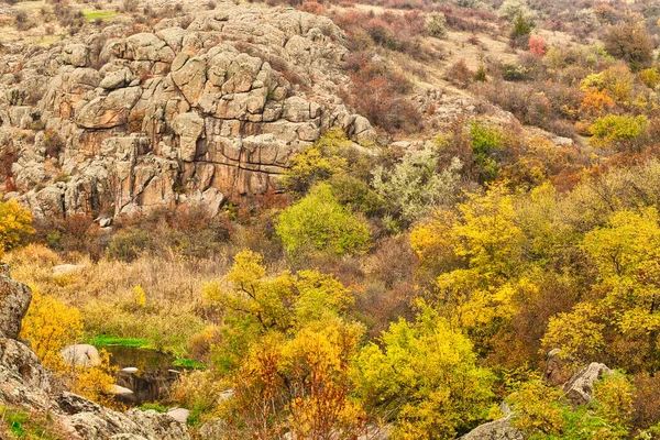 Resimli Ukrayna 'daki küçük bir nehrin üzerinde yeşil bitki örtüsüyle kaplı çok sayıda taş minerali ve onun güzel doğası.