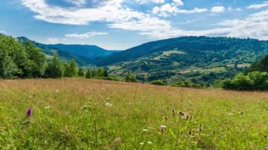 Güneş, Karpat Dağları 'nın Synevir geçidinde. Tepedeki çimenler. Carpathian dağlarındaki kırsal muhteşem manzara. Synevyr Geçidi 'nde dinlenme yeri, Karpatlar, Ukrayna.
