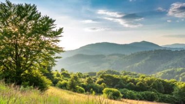 Gün batımında harika bir orman ve çimenli çayır. Altın güneş ufukta beliriyor, günün sonunda. Altın saat boyunca çekim yapmak. Synevyr Geçidi, Karpatlar, Ukrayna 'da dinlenme yeri..