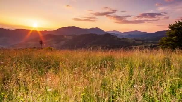 The sun over the Synevir pass of the Carpathian mountain ranges. High grass on the hill. Rural wonderful landscape in Carpathian mountains. Country rest in Synevyr pass, Carpathian mountains, Ukraine. — Video