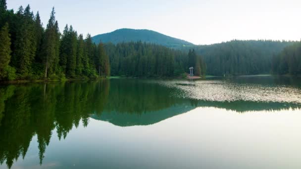 Schöne Natur und eine wunderbare Landschaft mit üppig grünen Wäldern und Vegetation rund um die Perle der Karpaten - den Synevyr-See. Karpaten in der Ukraine. Mystischer Nebel über den großen Tannen. — Stockvideo