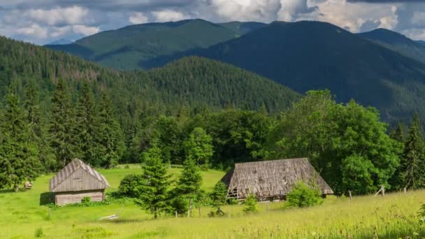 Vacker natur och ett underbart landskap med lummiga gröna skogar och vegetation runt pärlan av Karpaterna - Lake Synevyr. Karpaterna i Ukraina. Mystisk dimma över de stora första. — Stockvideo