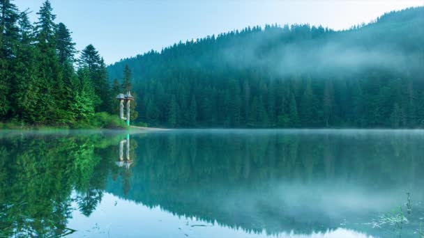 Hermosa naturaleza y un paisaje maravilloso con exuberantes bosques verdes y vegetación alrededor de la perla de los Cárpatos Lago Synevyr. Cárpatos en Ucrania. Niebla mística sobre los grandes abetos. — Vídeos de Stock