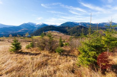 Dağlarla, ormanlarla ve Ukrayna 'daki Karpat Dağları' ndaki ağaçlarla harika bir manzara..