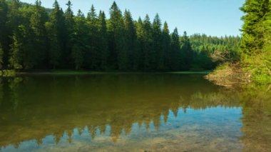 Güzel doğa ve bereketli yeşil ormanlar ve Karpatlar 'ın incisinin etrafındaki bitki örtüsüyle harika bir manzara - Synevyr Gölü. Ukrayna 'daki Karpatlar. Büyük köknar üzerinde mistik sis.