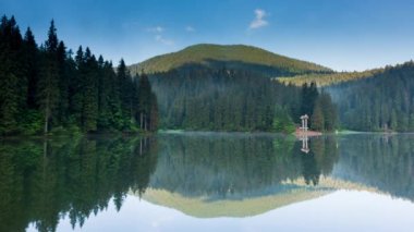 Güzel doğa ve bereketli yeşil ormanlar ve Karpatlar 'ın incisinin etrafındaki bitki örtüsüyle harika bir manzara - Synevyr Gölü. Ukrayna 'daki Karpatlar. Büyük köknar üzerinde mistik sis.