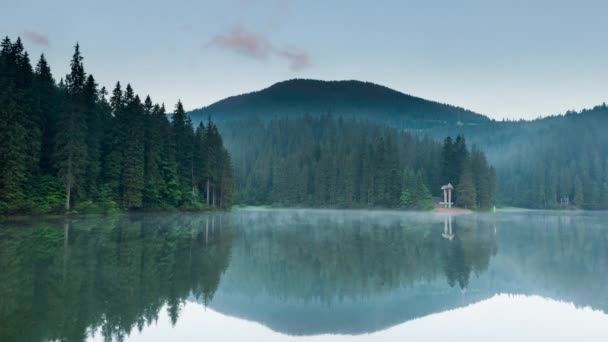 Beautiful nature and a wonderful landscape with lush green forests and vegetation around the pearl of the Carpathians - Lake Synevyr. Carpathians in Ukraine. Mystical fog over the great firs. — Stock Video