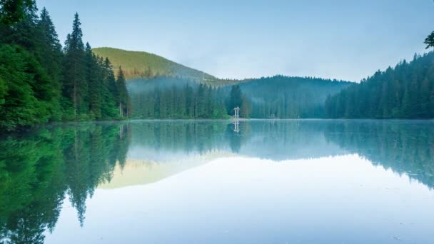 Piękna przyroda i wspaniały krajobraz z bujną zielenią i roślinnością wokół perły Karpat - Jezioro Synevyr. Karpaty na Ukrainie. Mistyczna mgła nad wielkimi jodłami. — Wideo stockowe
