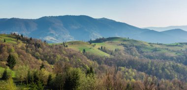 Karpat Dağları, Ukrayna. Gün batımında dağlar. Yaz mevsiminde güzel doğal manzara