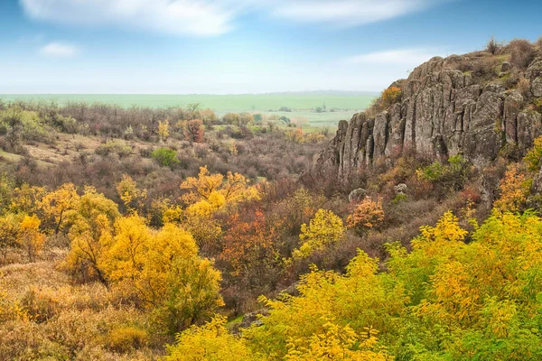 Resimli Ukrayna 'daki küçük bir nehrin üzerinde yeşil bitki örtüsüyle kaplı çok sayıda taş minerali ve onun güzel doğası.