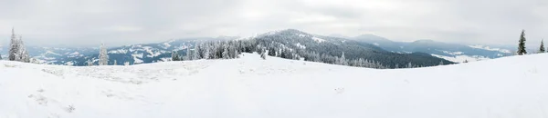 カルパチア山脈、ウクライナ。冬の山の中で霜や雪で覆われた木-クリスマス雪の背景 — ストック写真