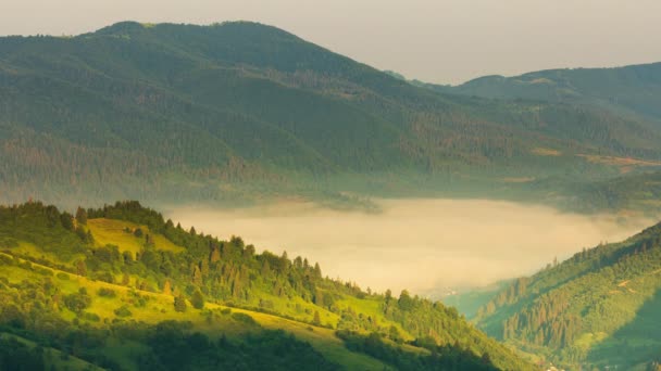 Magnifique forêt d'été à la chaîne de montagnes du soleil. Personne paysage naturel à la saison d'automne. Rayons du soleil à travers le brouillard et les nuages. Repos sur le col de Synevyr, Carpates, Ukraine. — Video