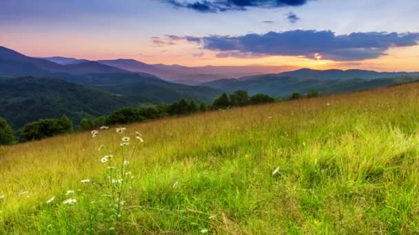 The sun over the Synevir pass of the Carpathian mountain ranges. High grass on the hill. Rural wonderful landscape in Carpathian mountains. Country rest in Synevyr pass, Carpathian mountains, Ukraine. — Stok video