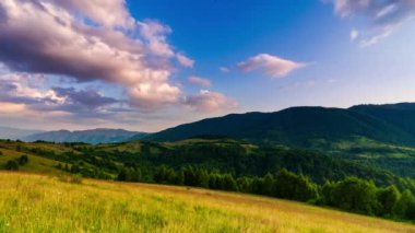 Güneş, Karpat Dağları 'nın Synevir geçidinde. Tepedeki çimenler. Carpathian dağlarındaki kırsal muhteşem manzara. Synevyr Geçidi 'nde dinlenme yeri, Karpatlar, Ukrayna.