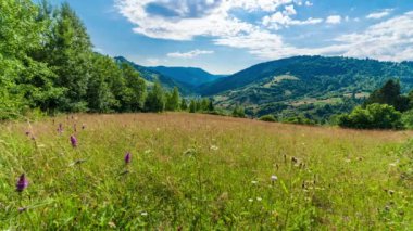 Güneş, Karpat Dağları 'nın Synevir geçidinde. Tepedeki çimenler. Carpathian dağlarındaki kırsal muhteşem manzara. Synevyr Geçidi 'nde dinlenme yeri, Karpatlar, Ukrayna.