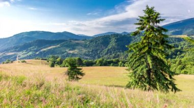 Gün batımında harika bir orman ve çimenli çayır. Altın güneş ufukta beliriyor, günün sonunda. Altın saat boyunca çekim yapmak. Synevyr Geçidi, Karpatlar, Ukrayna 'da dinlenme yeri..