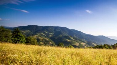The sun over the Synevir pass of the Carpathian mountain ranges. High grass on the hill. Rural wonderful landscape in Carpathian mountains. Country rest in Synevyr pass, Carpathian mountains, Ukraine.