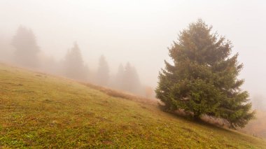 Güz Dağı Vadisi 'nde güzel bir sabah ve içinde küçük bir köy. Samanlık ve çam ağacıyla sisli dağların panoramik manzarası.