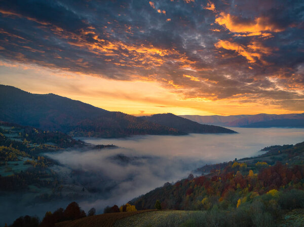 Ukraine. Sunrise shines in the Carpathians, colored fog spreads over the valleys and lowlands of the mountain range, golden prairies are very dazzlingly beautiful.