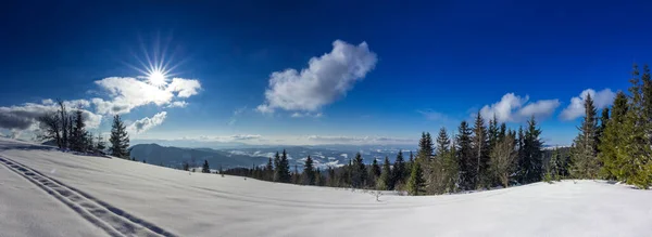 Paisaje de invierno de montaña. Bosque de abeto cubierto de nieve en paisaje invernal —  Fotos de Stock