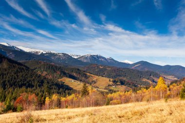 Dağlarla, ormanlarla ve Ukrayna 'daki Karpat Dağları' ndaki ağaçlarla harika bir manzara..