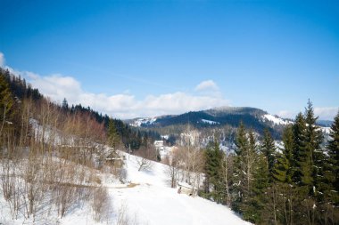 Dağın tepesinden, ormandaki donma ve alçak bulut manzarası.